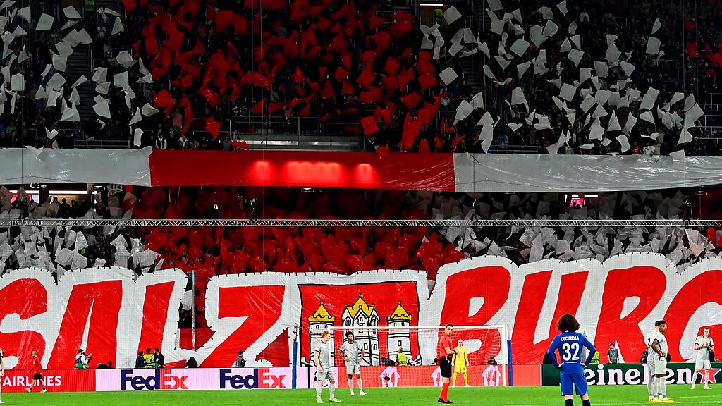 Red Bull Salzburg, Fans
