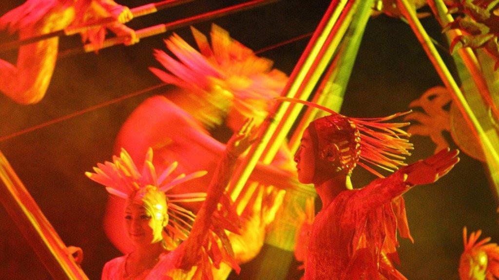 Circus Krone in Traunstein