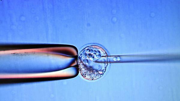 Eine 25-Jährige hat den Embryo ausgetragen