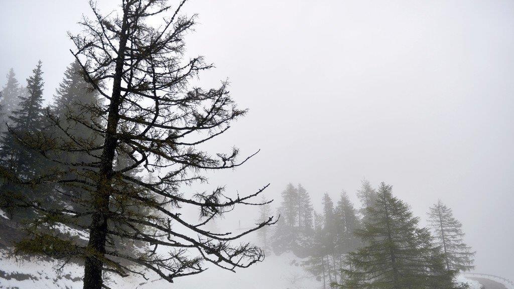 Schnee im Salzkammergut