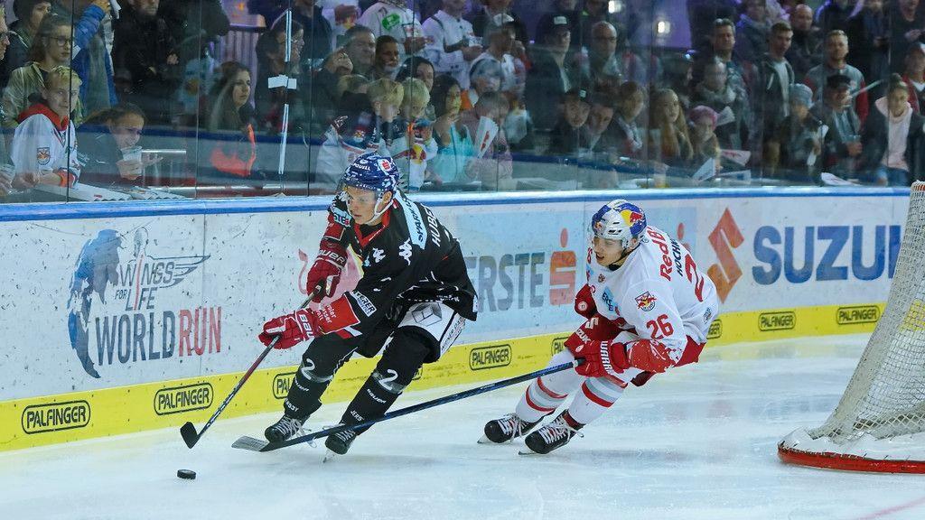 EC Red Bull Salzburg - HC TWK Innsbruck "Die Haie"