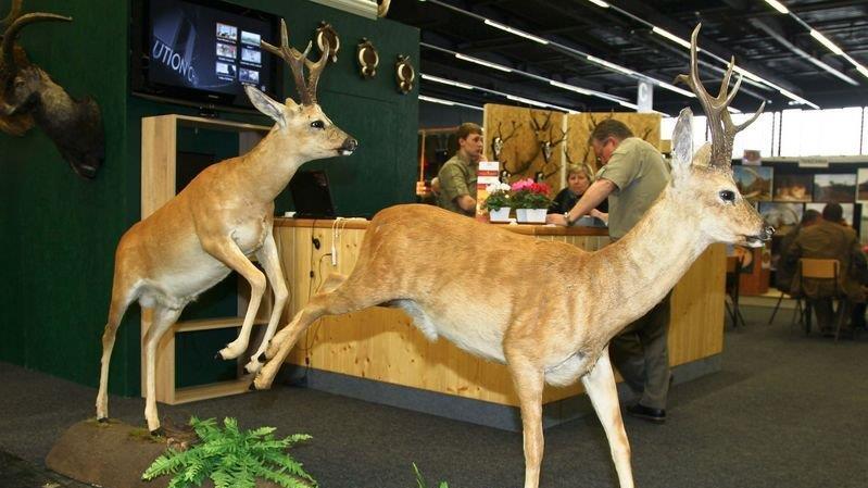 Die Jagdmesse ist eröffnet