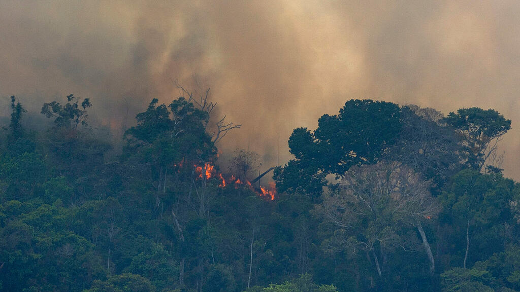 Waldbr\u00e4nde in Brasilien