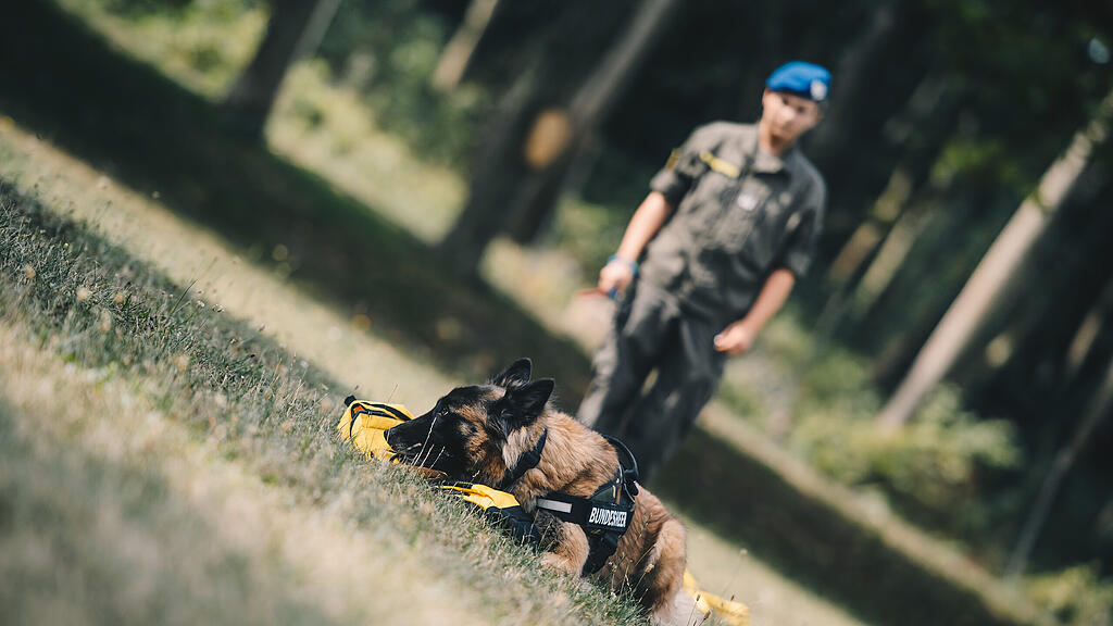 HANDOUT BUNDESHEER AUSBILDUNG COVID-19 SPÜRHUNDE =(2).jpg