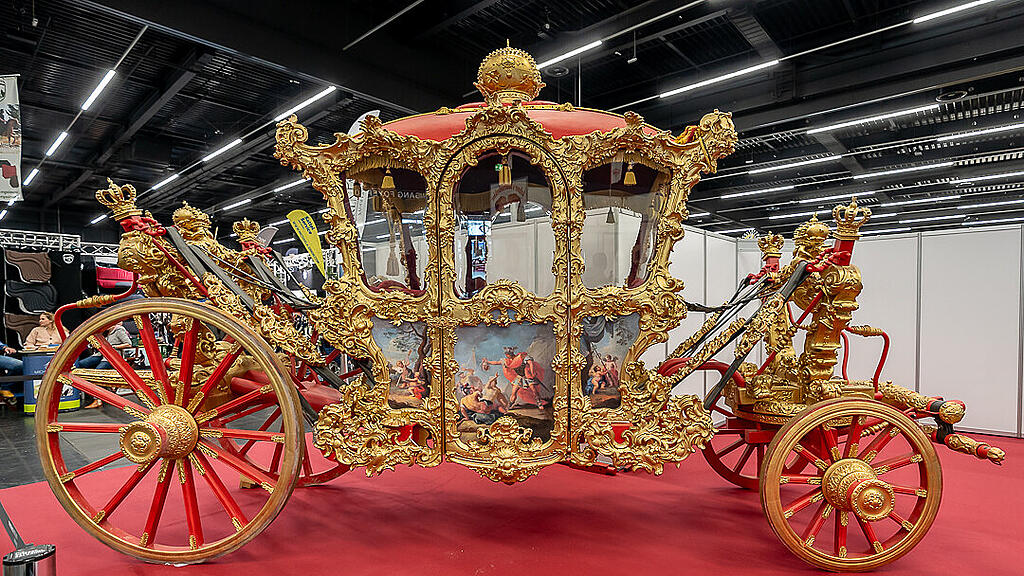 Amadeus Horse Indoors 2023