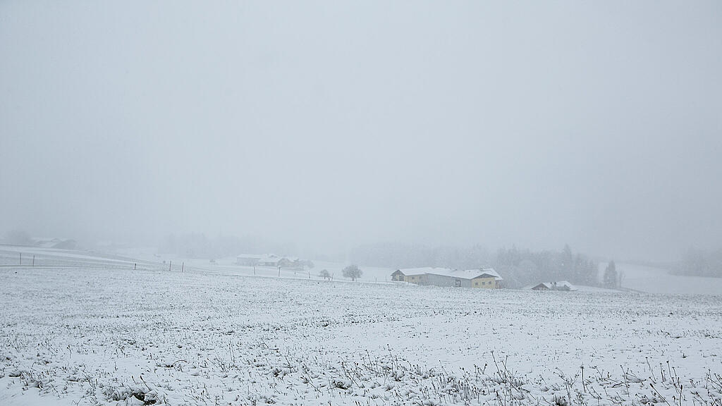 Schnee am Haunsberg