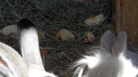 Weitere Tierbilder