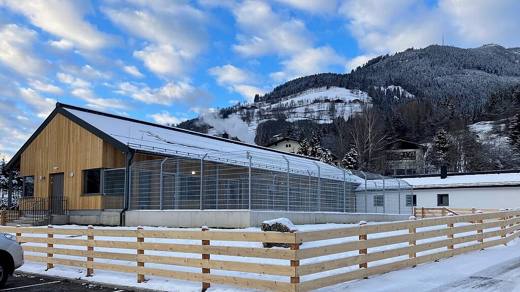 Tierheim Pinzgau