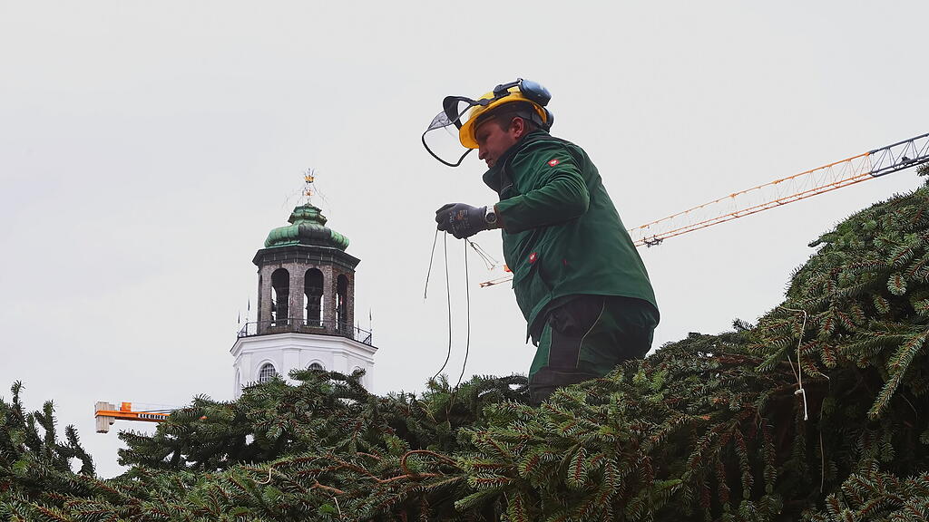Baum am Christkindlmarkt eingetroffen II