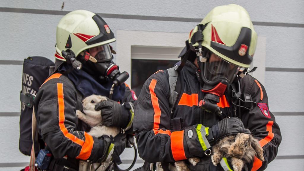 Brand in der Pichlergasse fordert zwei Verletzte