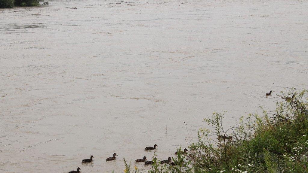 Hochwasser in Oberndorf