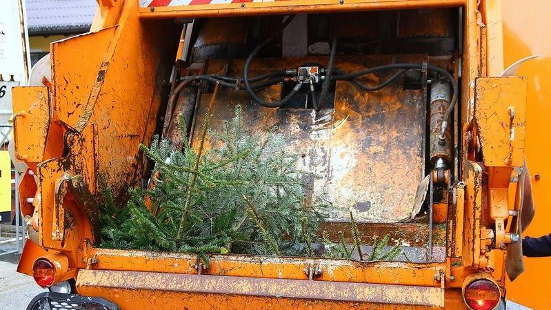 Christbaum-Entsorgung