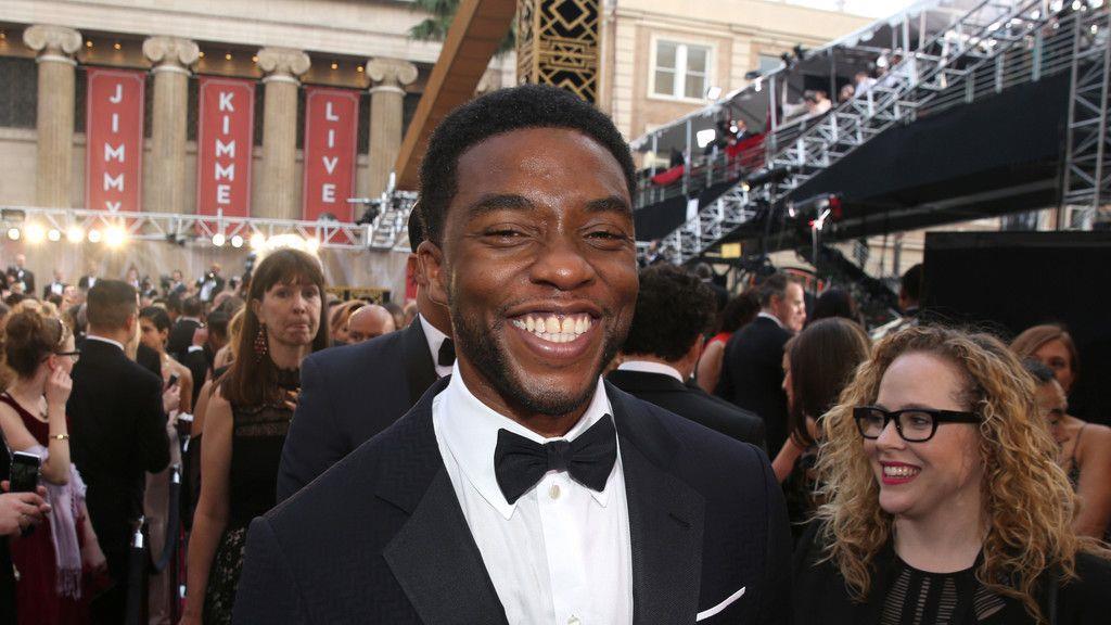 Die Oscars 2016: Red Carpet