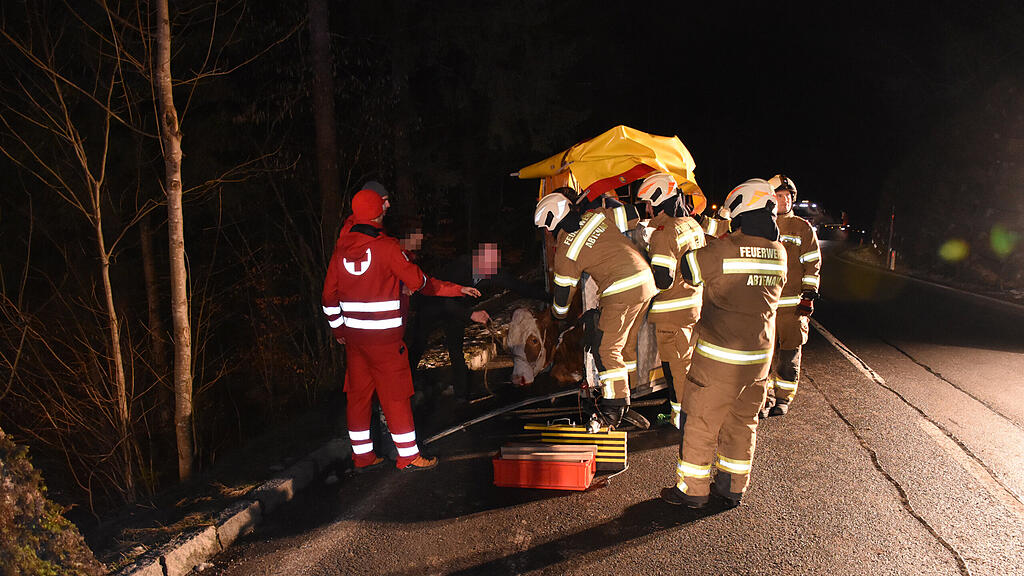 Fels st\u00fcrzt in Abtenau auf B162