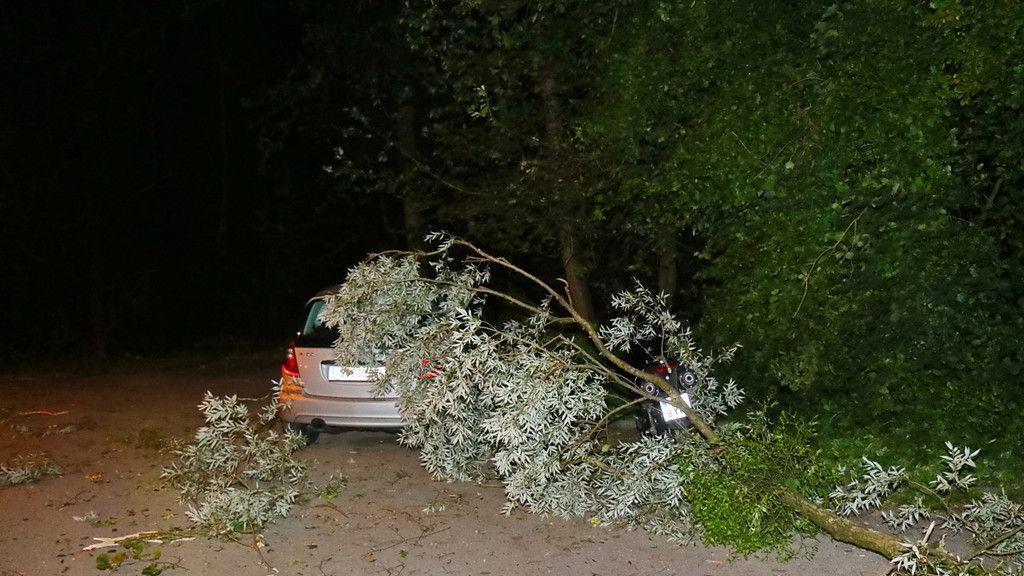 Sturm: Feuerwehren in Salzburg im Großeinsatz