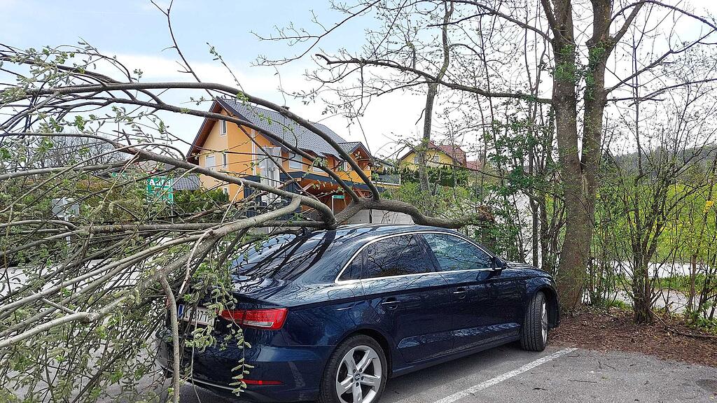 Umgestürzter Baum Eugendorf