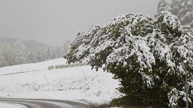 Schnee im Flachgau