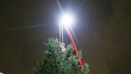 Mini-Christbaum für Christkindlmarkt