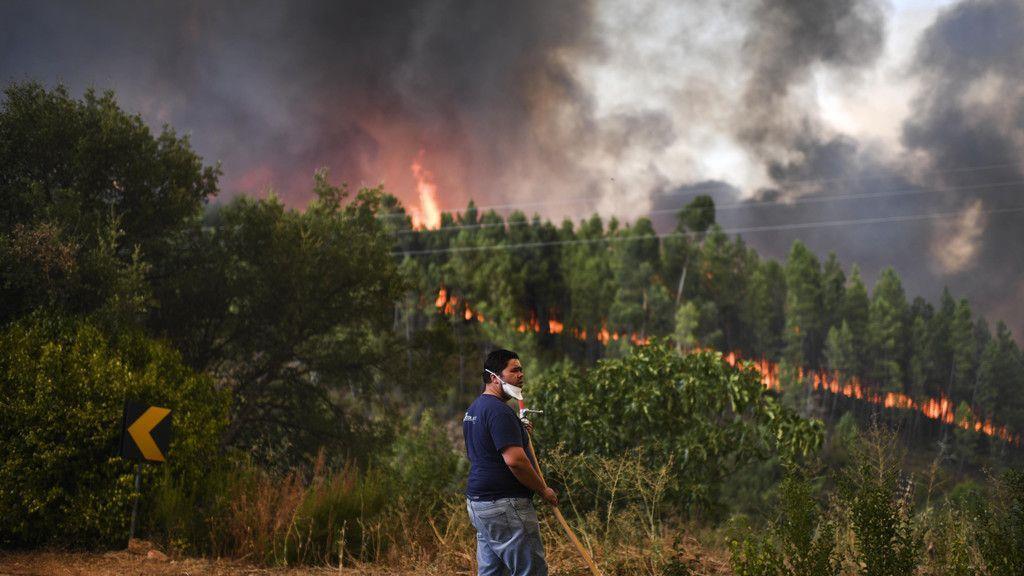 Schwere Waldbrände in Portugal