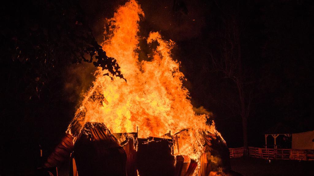 Burning Animal II