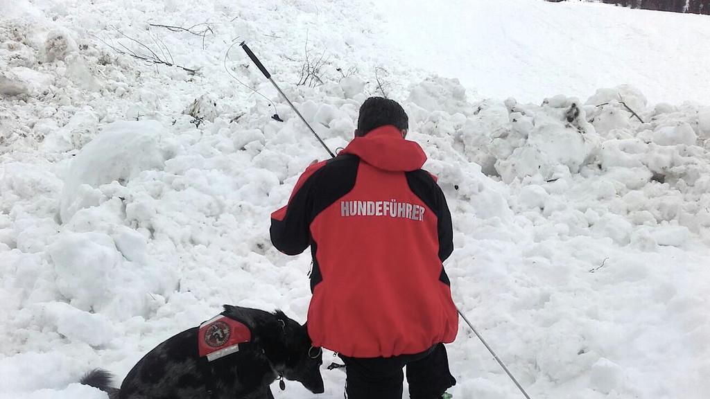 Lawinenhunde im Übungseinsatz im Heutal
