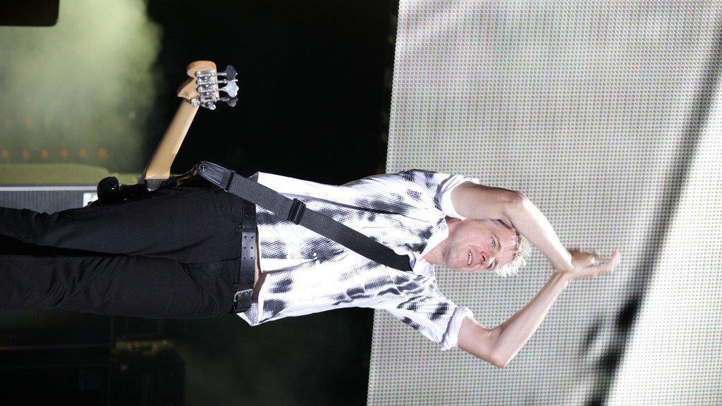Frequency 2013: Die Toten Hosen