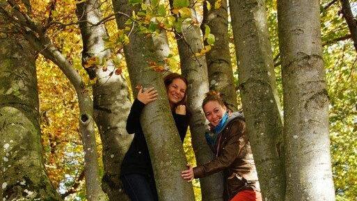 Herbst in Spital am Phyrn