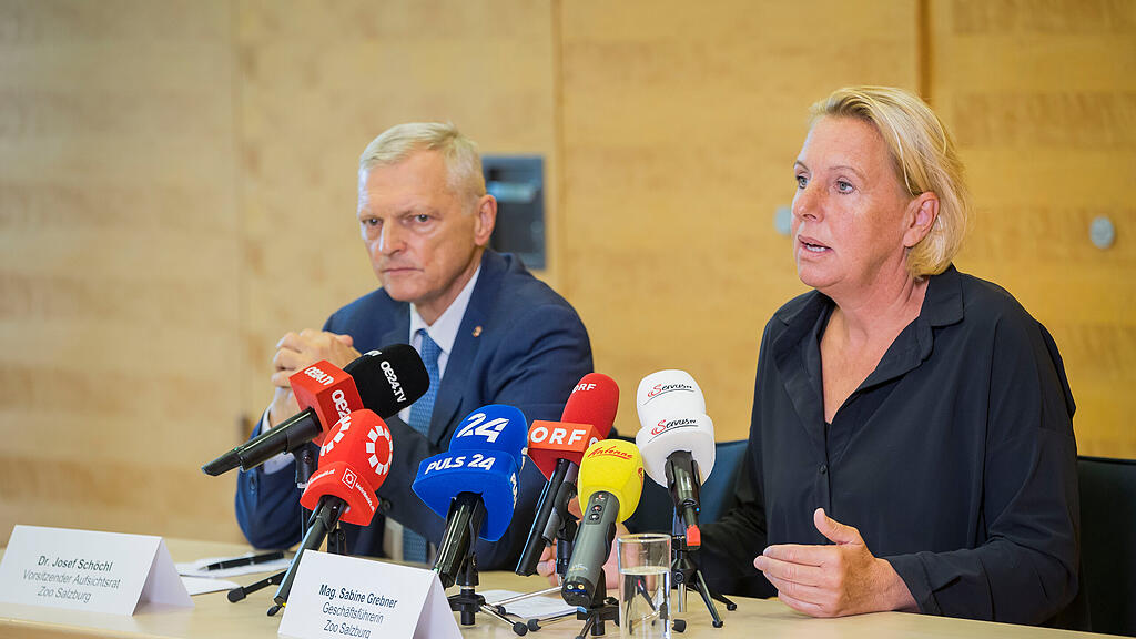 Nashorn t\u00f6tet Pflegerin im Zoo: Pressekonferenz