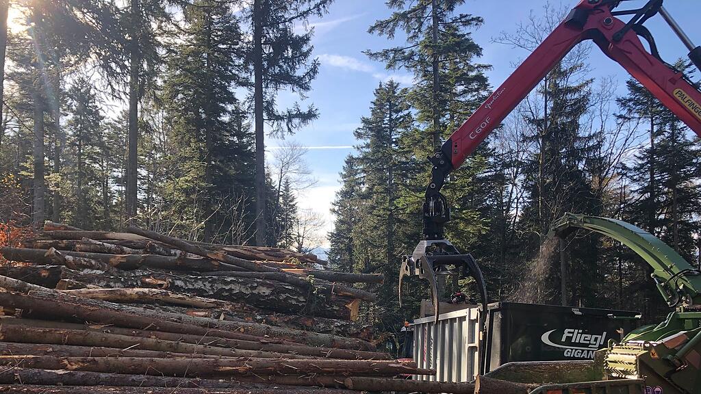 symb_wald; symb_holzarbeiten; symb_holz