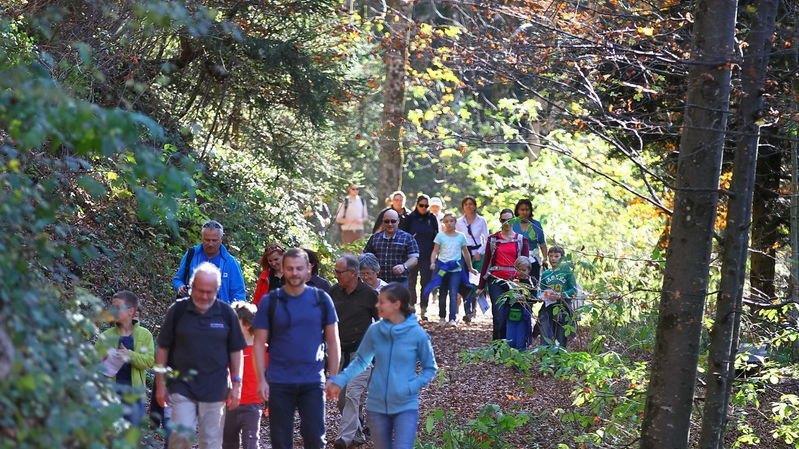 Charity-Walk am Gaisberg