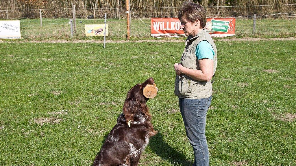 "Der gelbe Hund" in Nußdorf