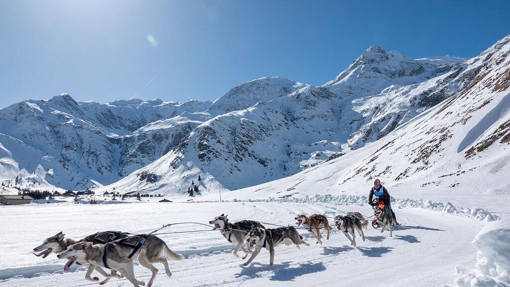 Schlittenhunde-WM in Sportgastein, Samstag