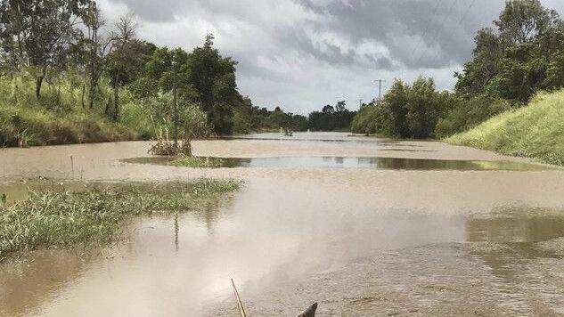Hai in Australien angespült