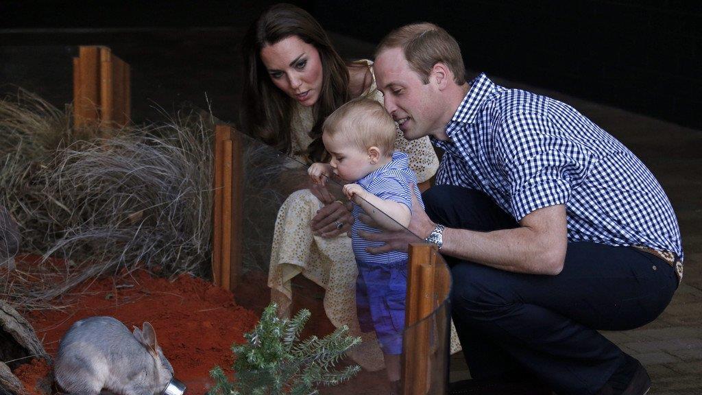 Prinz George und das Bilby: Liebe auf den ersten Blick