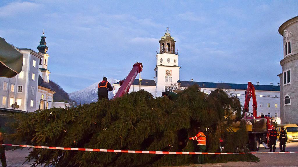 Christbaum ist angekommen