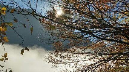 User-Bilder: Herbst in Salzburg