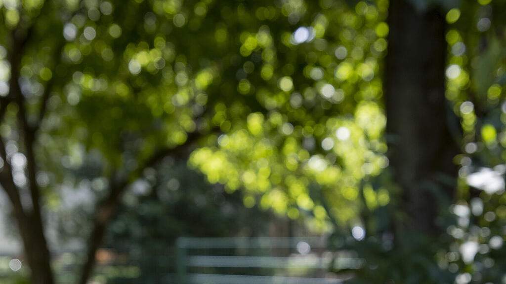 Ein Streit soll die Schüsse in einem Wiener Park ausgelöst haben