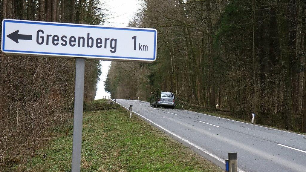 Niklas: Baum an L207 stürzt auf Pkw