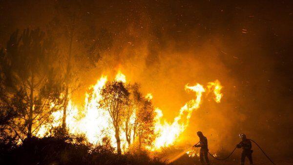 Das Feuer könnte gelegt worden sein