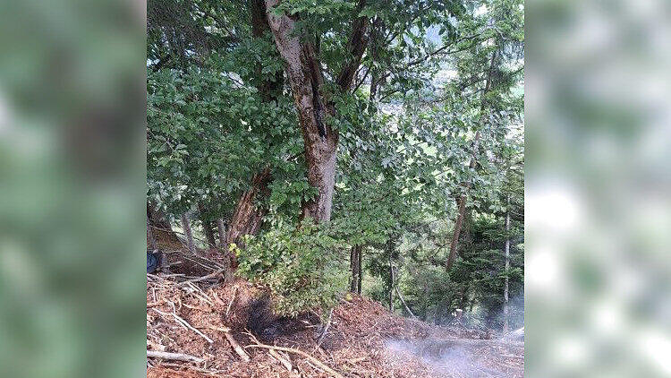 Waldbrand Strobl