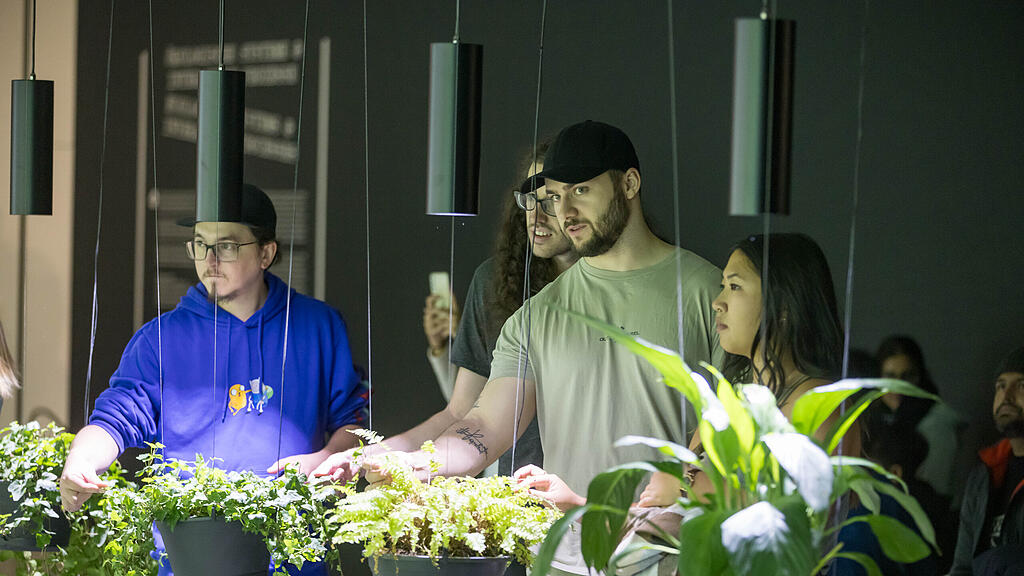 Lange Nacht der Museen, MdM