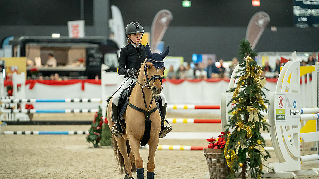 Amadeus Horse Indoors 2023