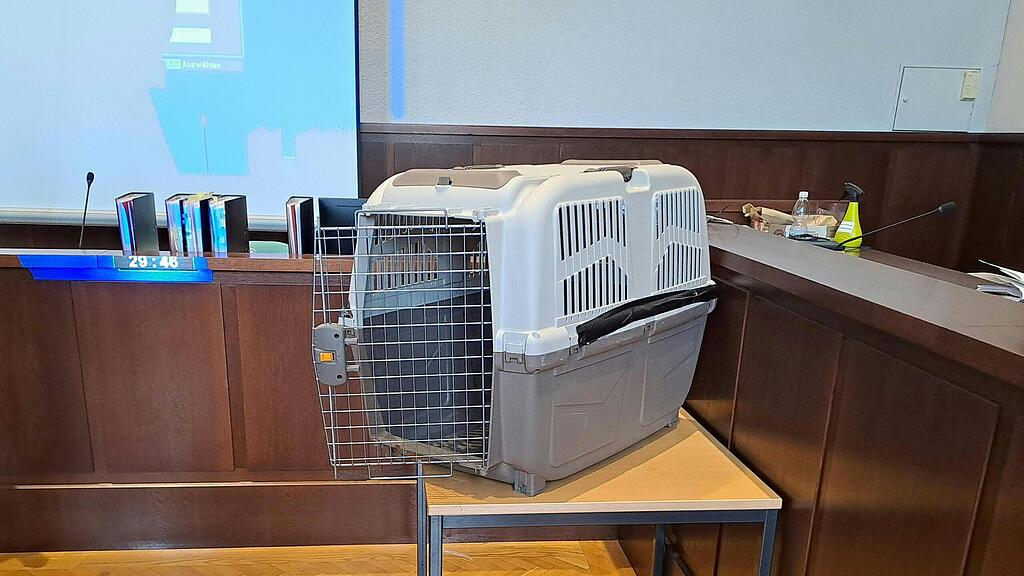 hundebox.jpg