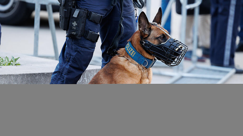 symb_polizeihund