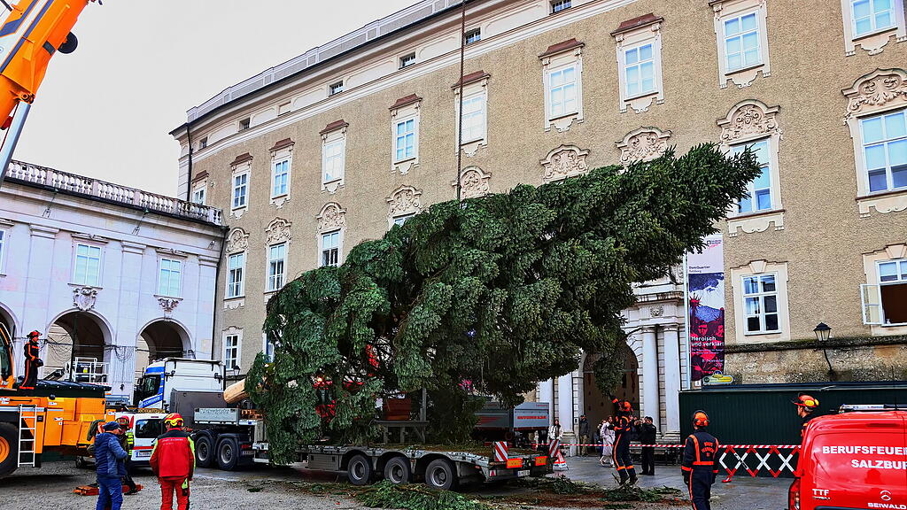 Baum am Christkindlmarkt eingetroffen II