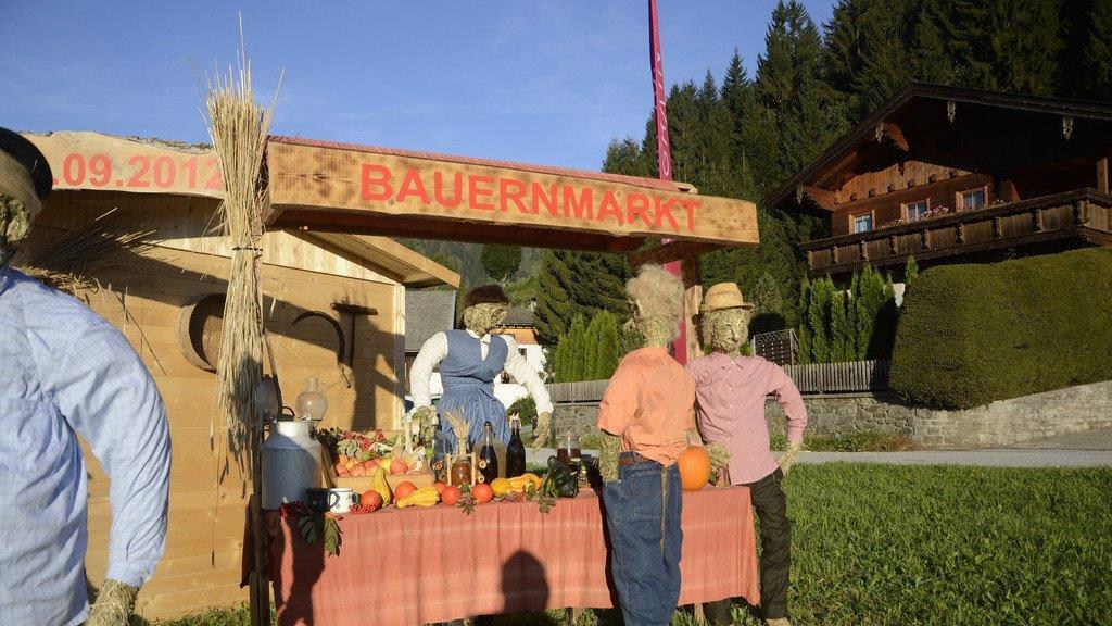 Bauernherbst im Salzburger Land
