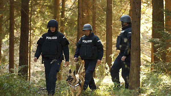 Die Hunde wurden über Monate ausgebildet