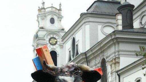 Tierrechtsdemo in Salzburg