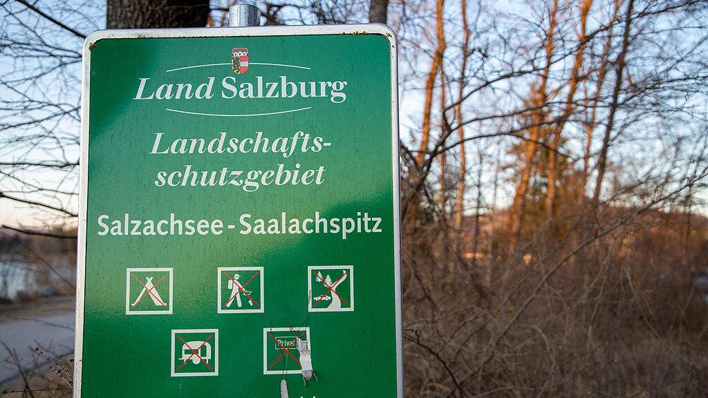 symb_Wald_Salzburg