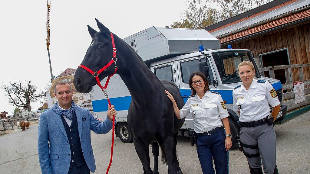 Polizeipferde